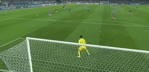 1675884482253015593.gif IMG_5771.gif